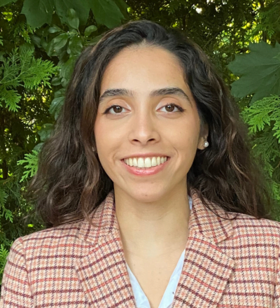 Ava Mehdipour-Ataei